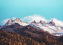 开云网站入口官网-国际残奥委会主席：2026冬残奥会参赛规模创新高