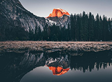 库兹马20分弗拉格19+10 雄鹿胜独行侠